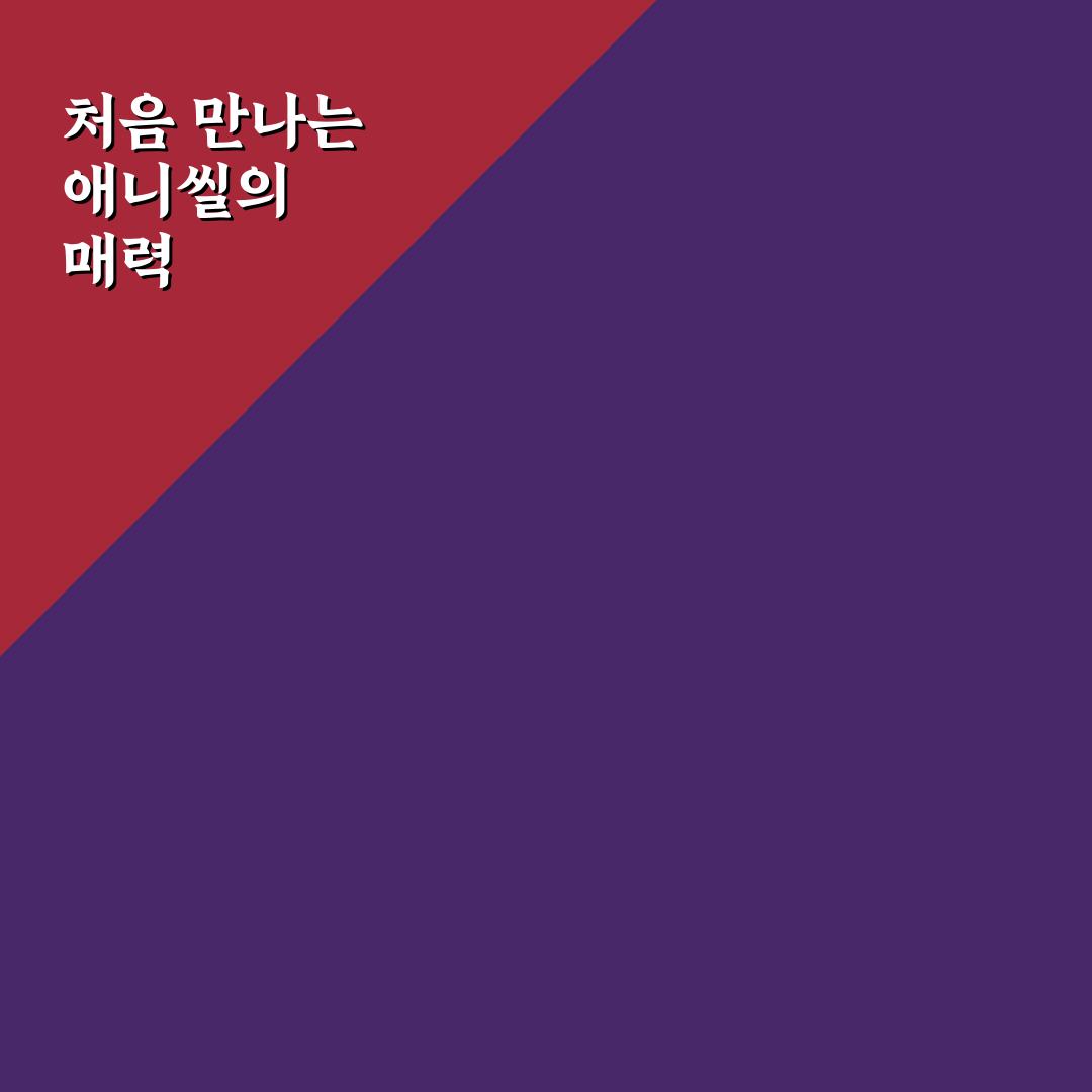 애니씰 c 사용 후기, 직접 써보니 만족도는 어떨까