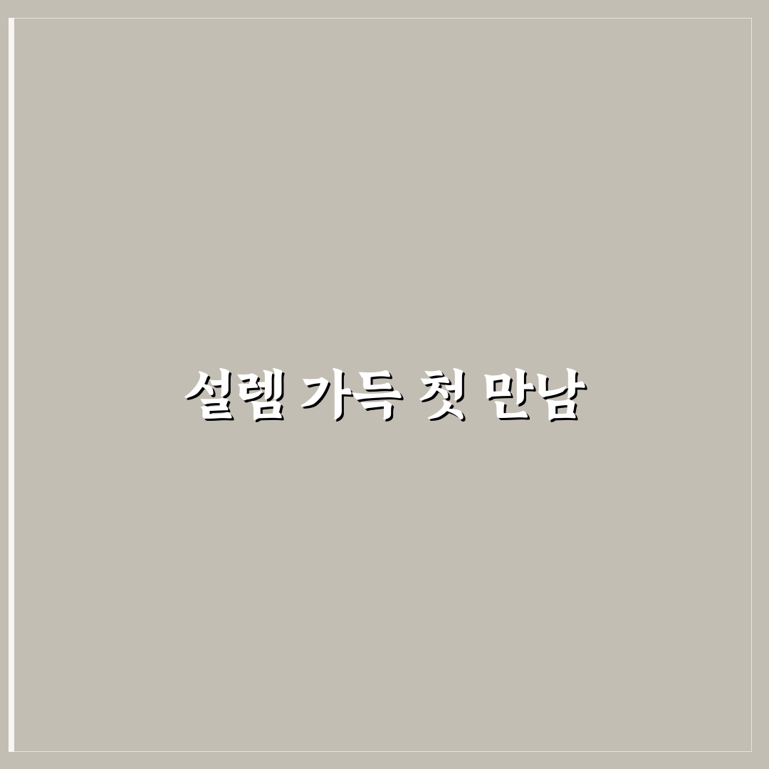 HSPA6BC81 사용 후기, 직접 써보니 알게 된 점