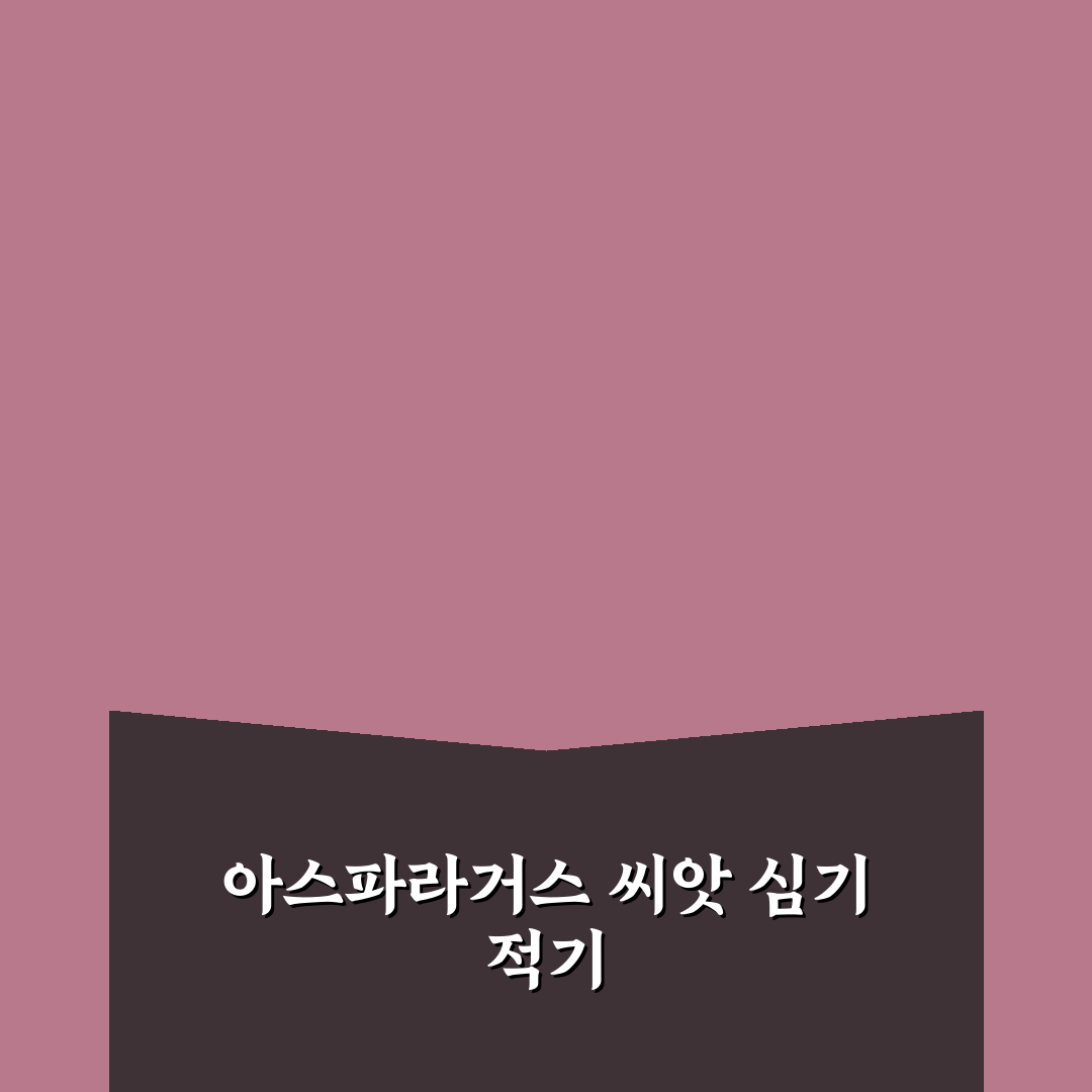 아스파라거스씨앗심는시기와 방법 알려드려요 쉽게 시작하는 꿀팁