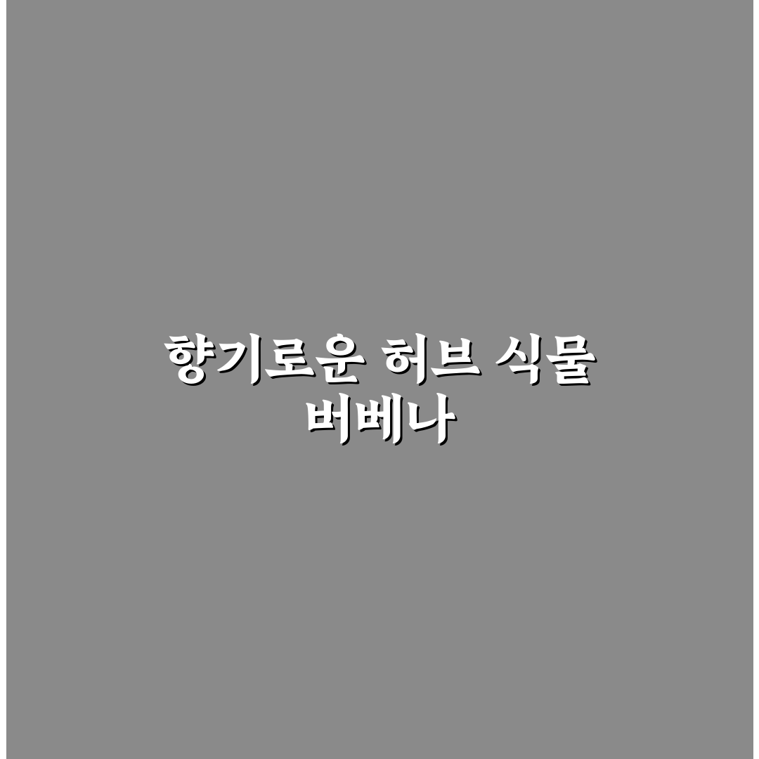 버베나 키우기 쉽게 알려드려요 초보자 꿀팁 정리