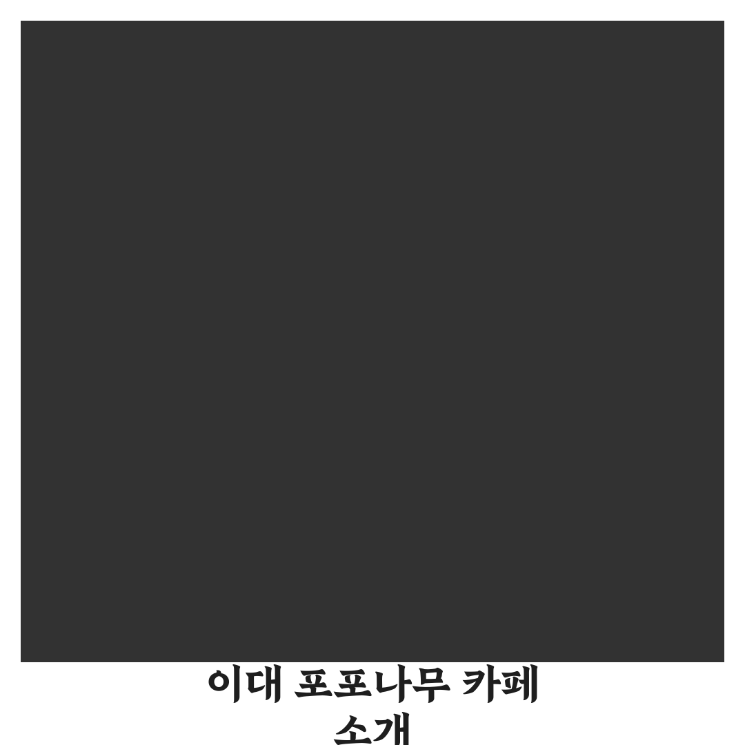 포포나무 이대 방문 꿀팁과 기본 정보 안내