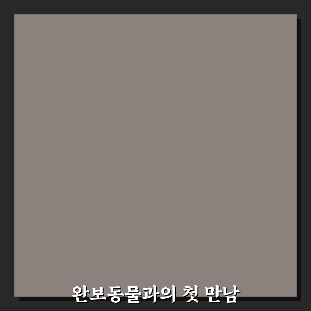 완보동물 체험기, 직접 느껴본 평화로운 산책 시간