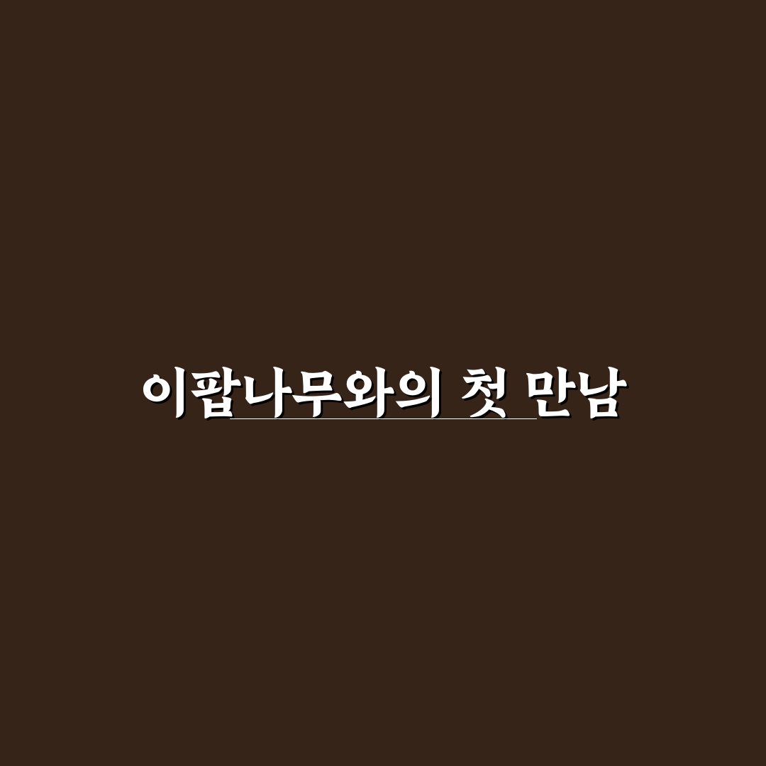 이팝나무 심는 이유 직접 알아보니 알게 된 점들