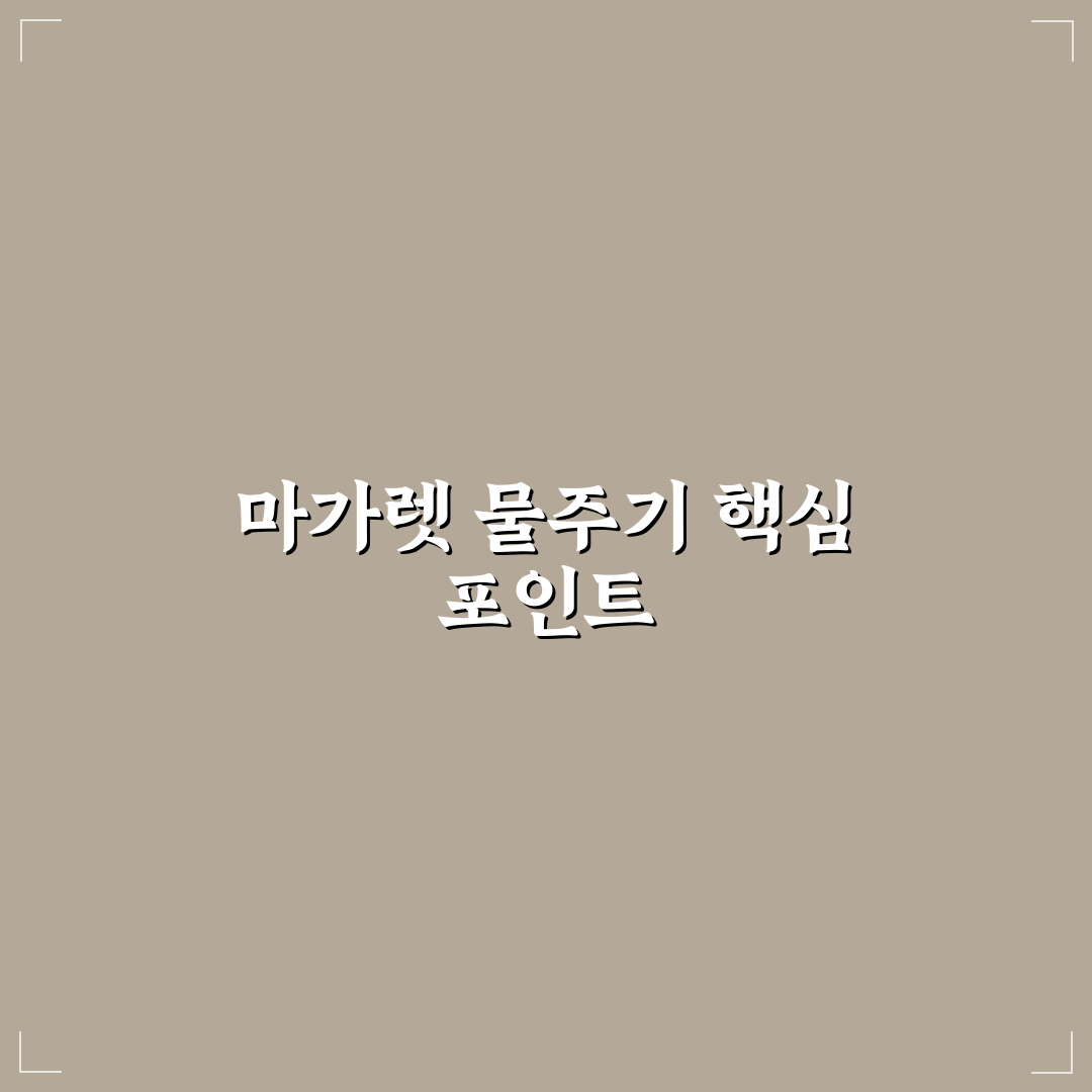 마가렛 물주기 방법과 꿀팁 쉽게 알려드려요