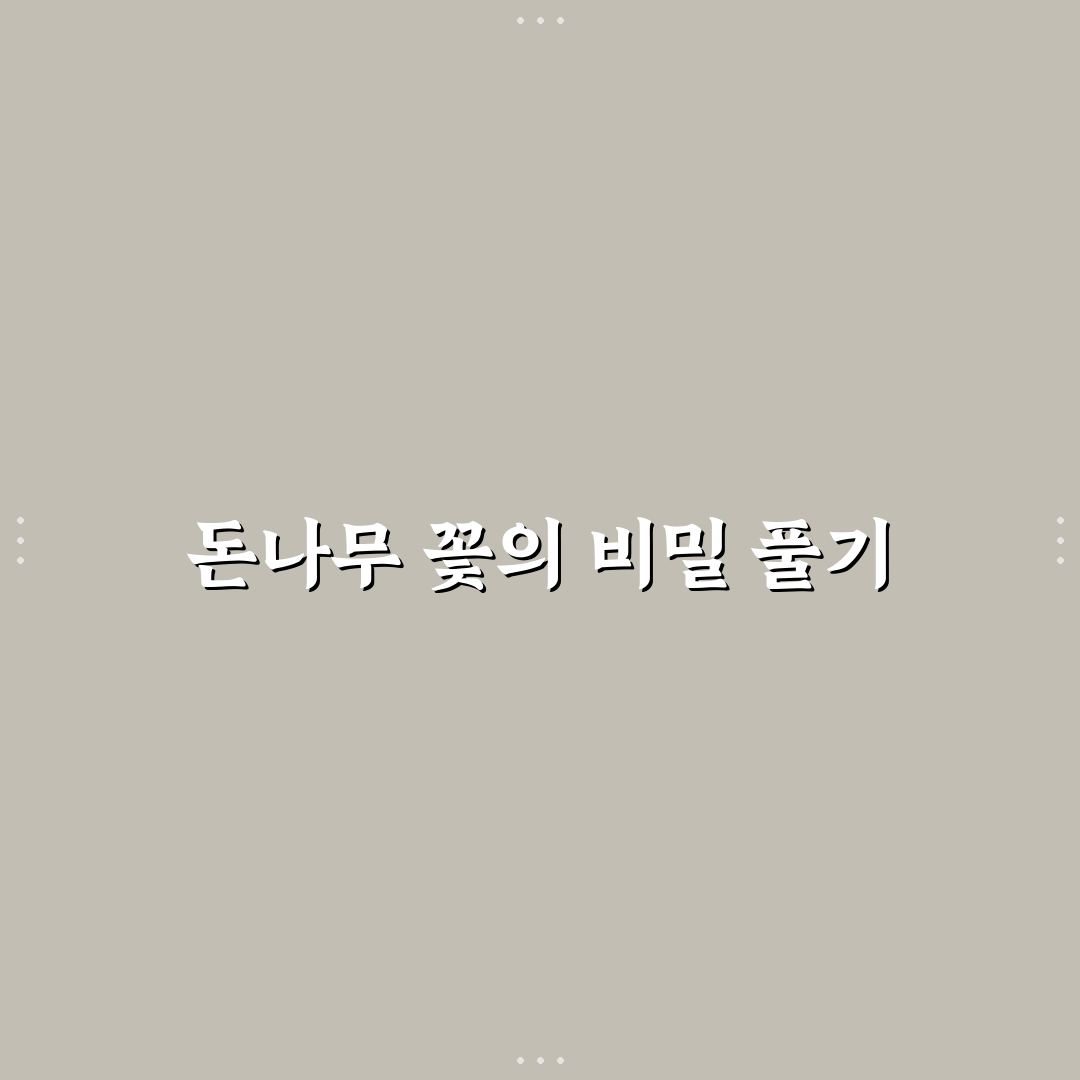 돈나무 꽃 피면 알아야 할 기본 관리법 정리