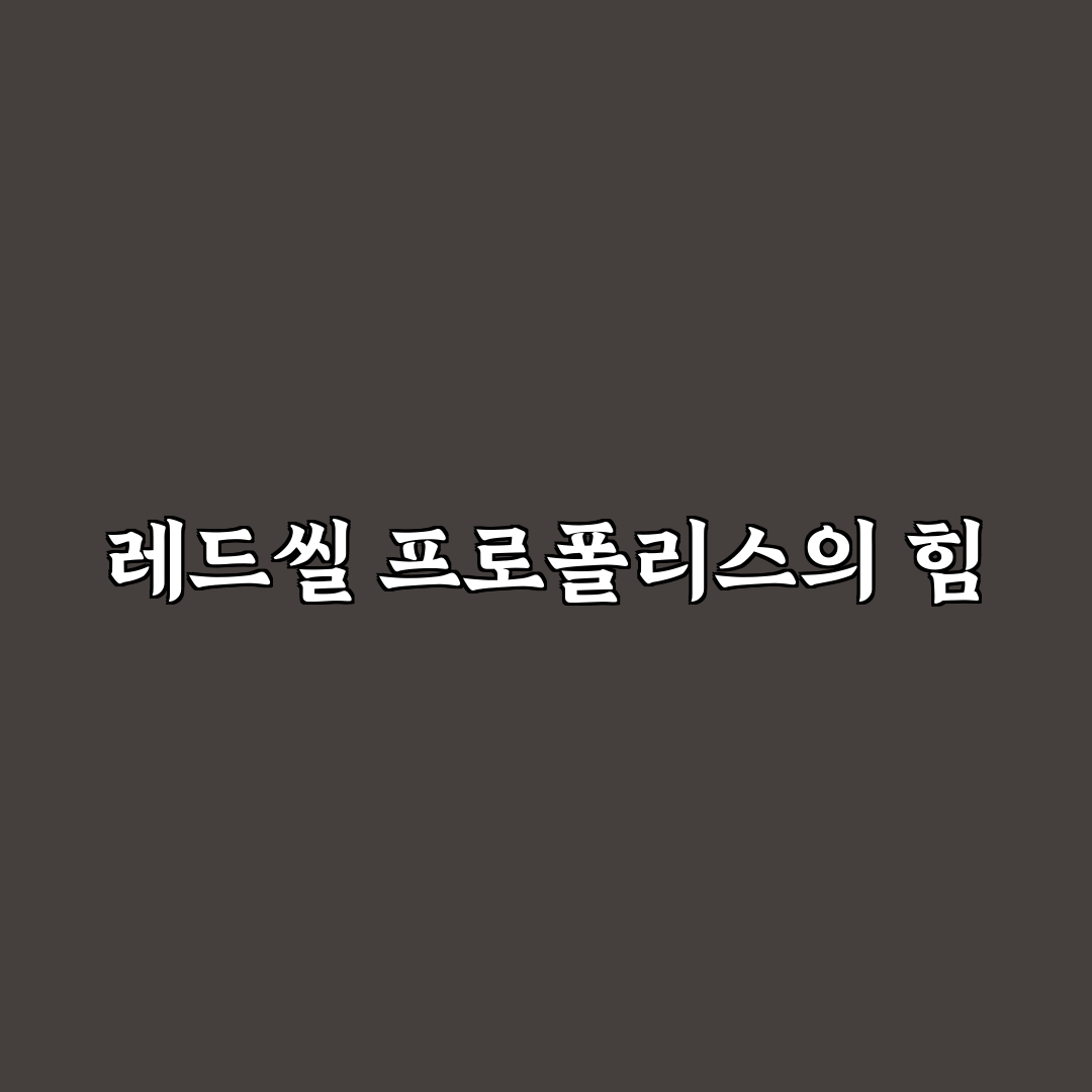 레드씰 프로폴리스 민트 사용법과 효과 꿀팁 알려드려요