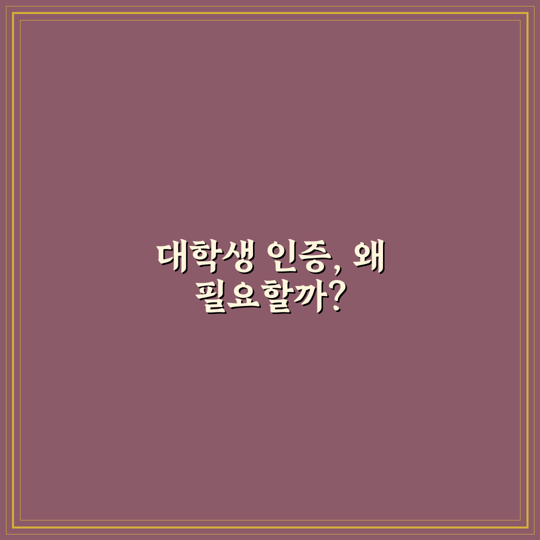 티머니고 대학생 인증 방법과 꿀팁 쉽게 알려드려요