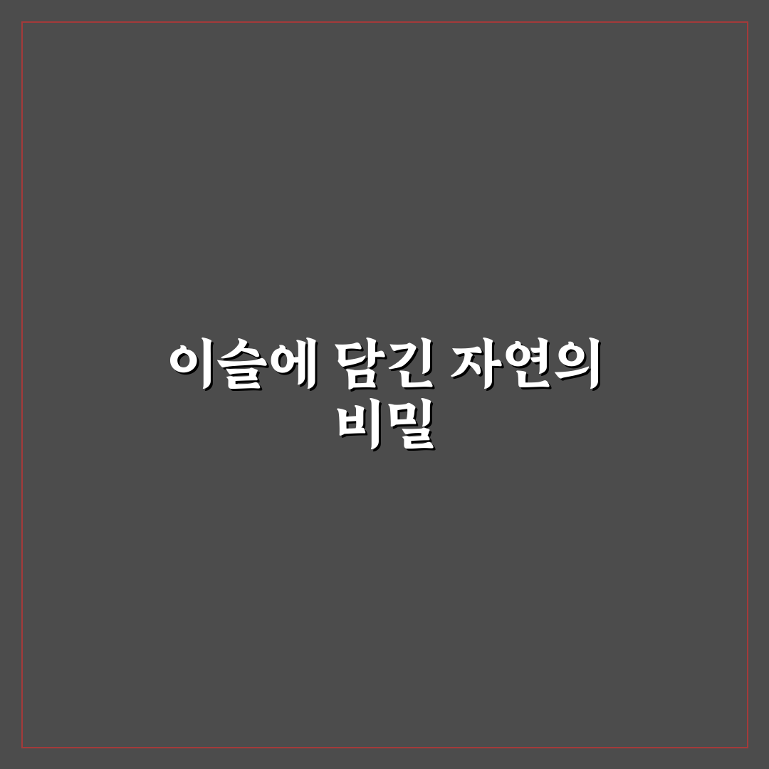 저 장미꽃 위에 이슬 아름다움과 촉촉함 쉽게 정리