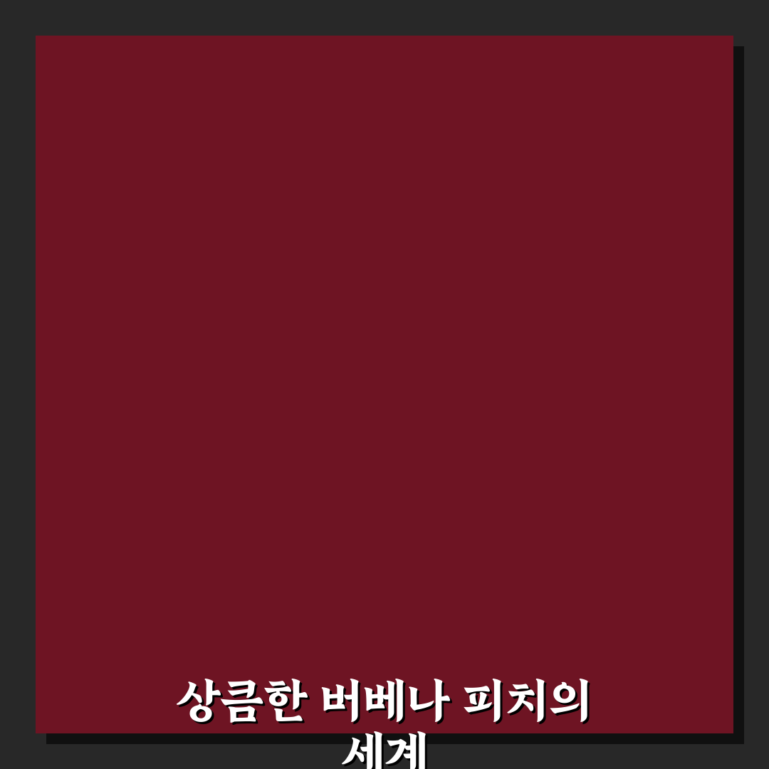 버베나 피치 활용법과 초보자를 위한 꿀팁 정리