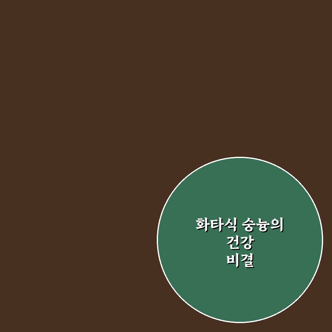 화타식 숭늉 효능과 활용 꿀팁 쉽고 간단하게 알려드려요