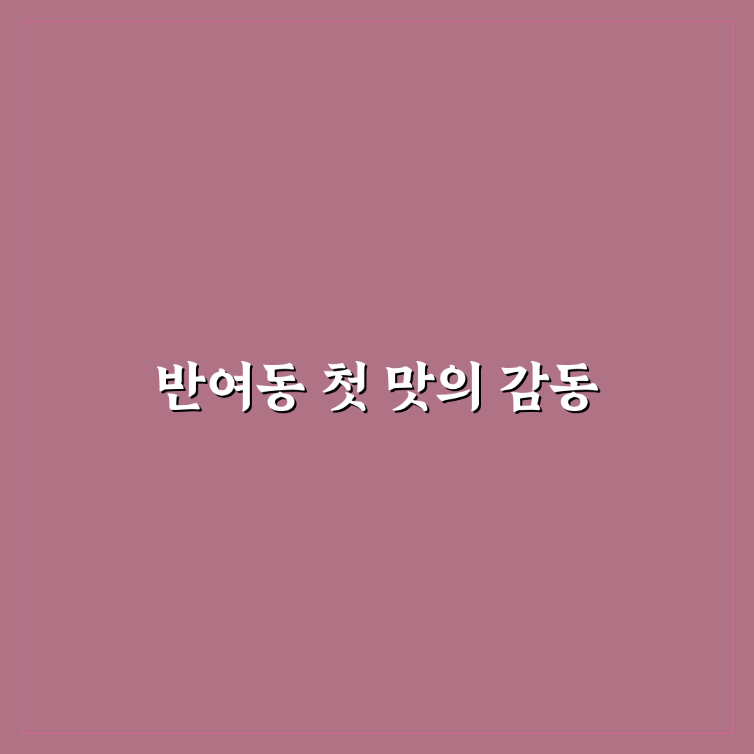 반여동 닭갈비 방문 후기, 맛과 분위기 솔직하게 적어봐요