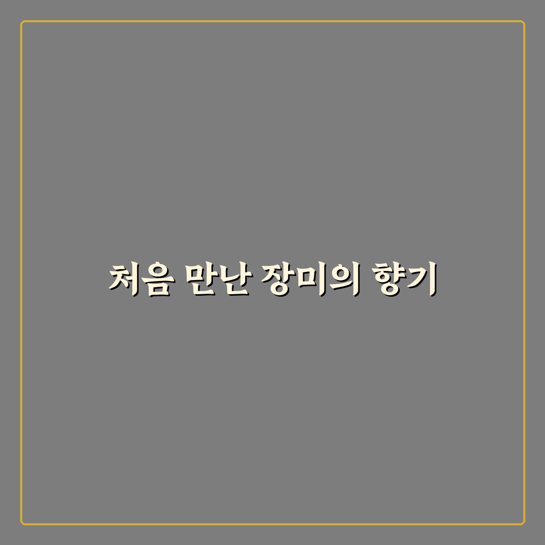 장미 꽃화원 방문 후기, 직접 가보니 풍경과 분위기