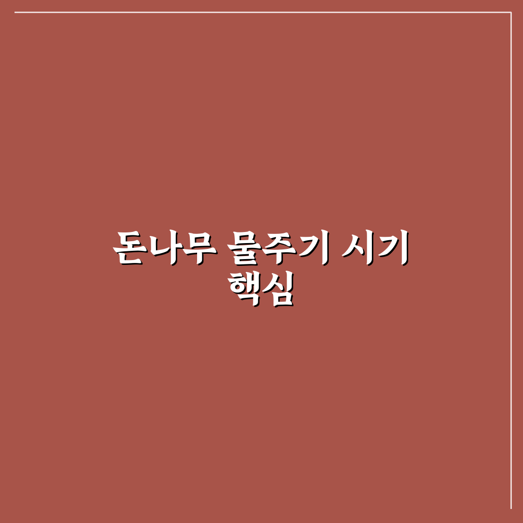 돈나무 물주는 시기와 꿀팁 초보자도 쉬운 관리법