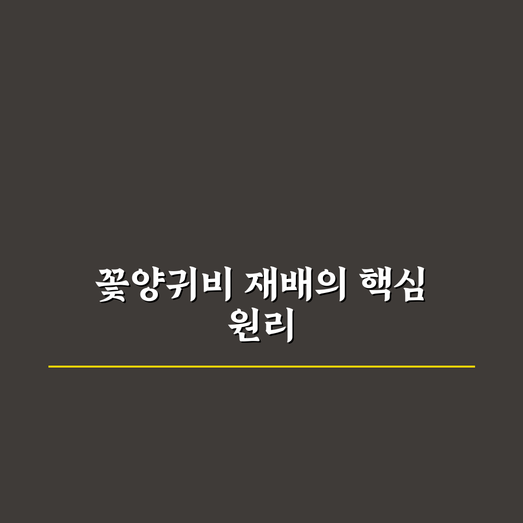 꽃양귀비 키우기 꿀팁과 필수 관리 방법 알려드려요
