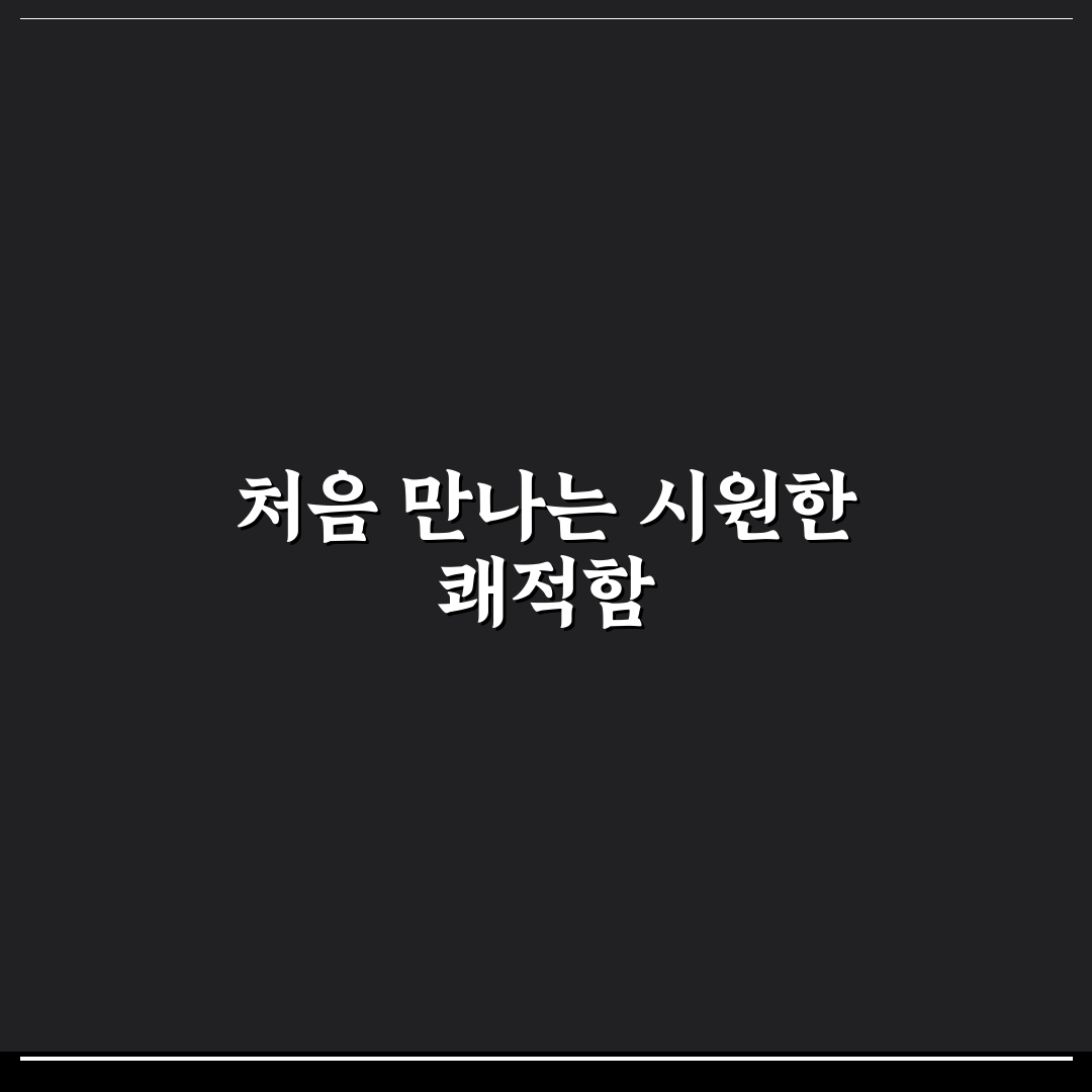 폴레드 통풍시트 종류 사용 후기, 직접 써보니 차이점이 궁금했다