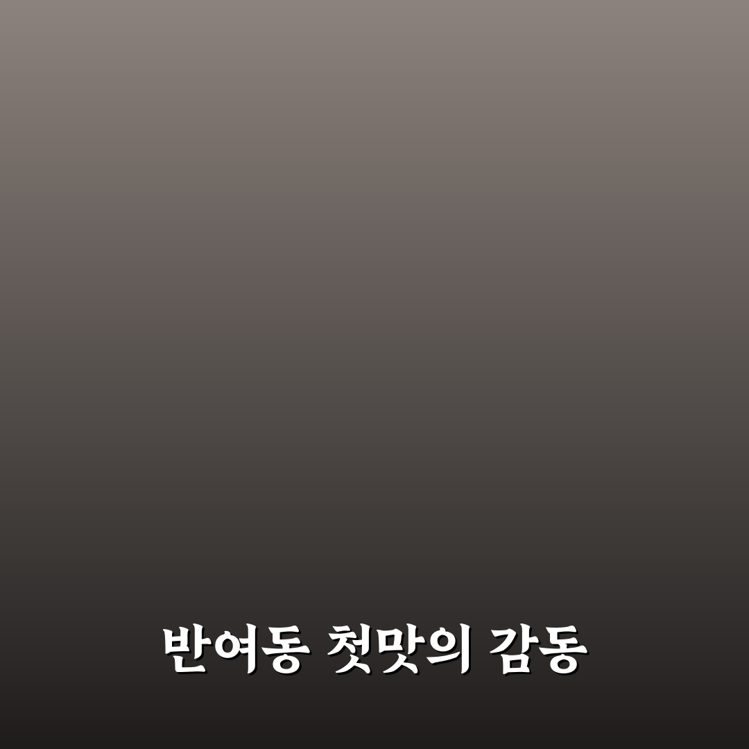 반여동 어탕 방문 후기, 직접 가보니 맛과 분위기