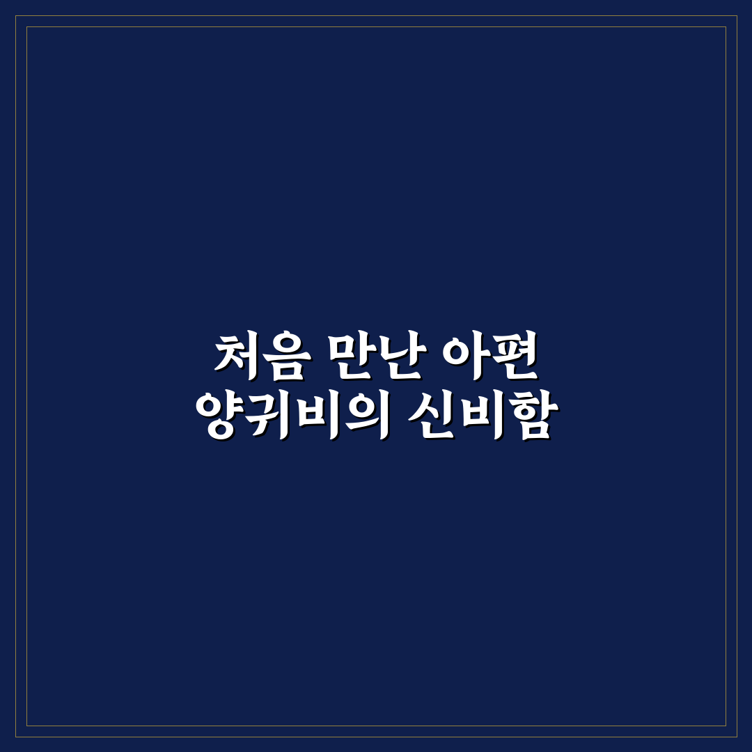 아편 양귀비 구분법 직접 알아보니 헷갈리는 점들