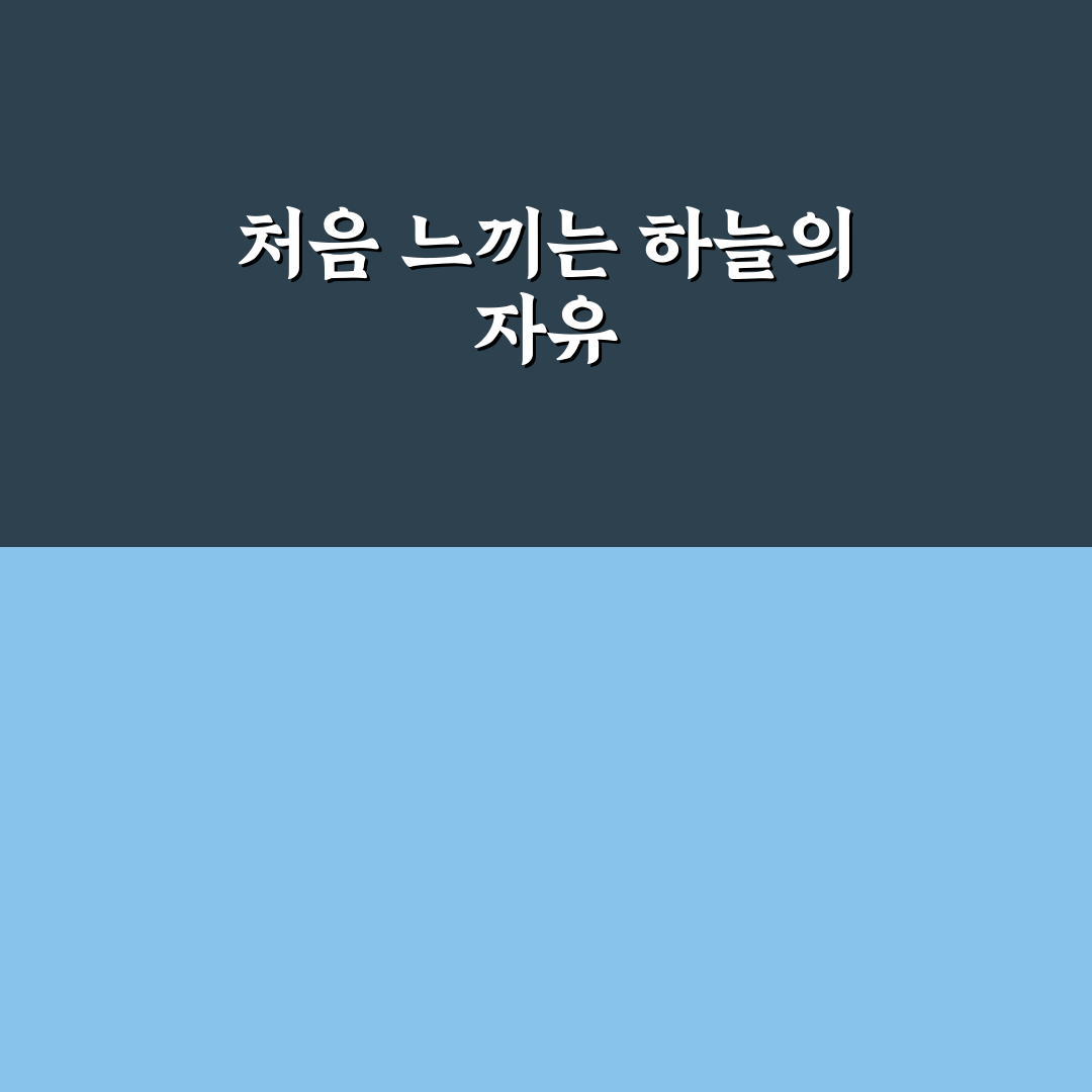 남이섬 하늘자전거 체험기, 직접 타보니 어떤 느낌일까