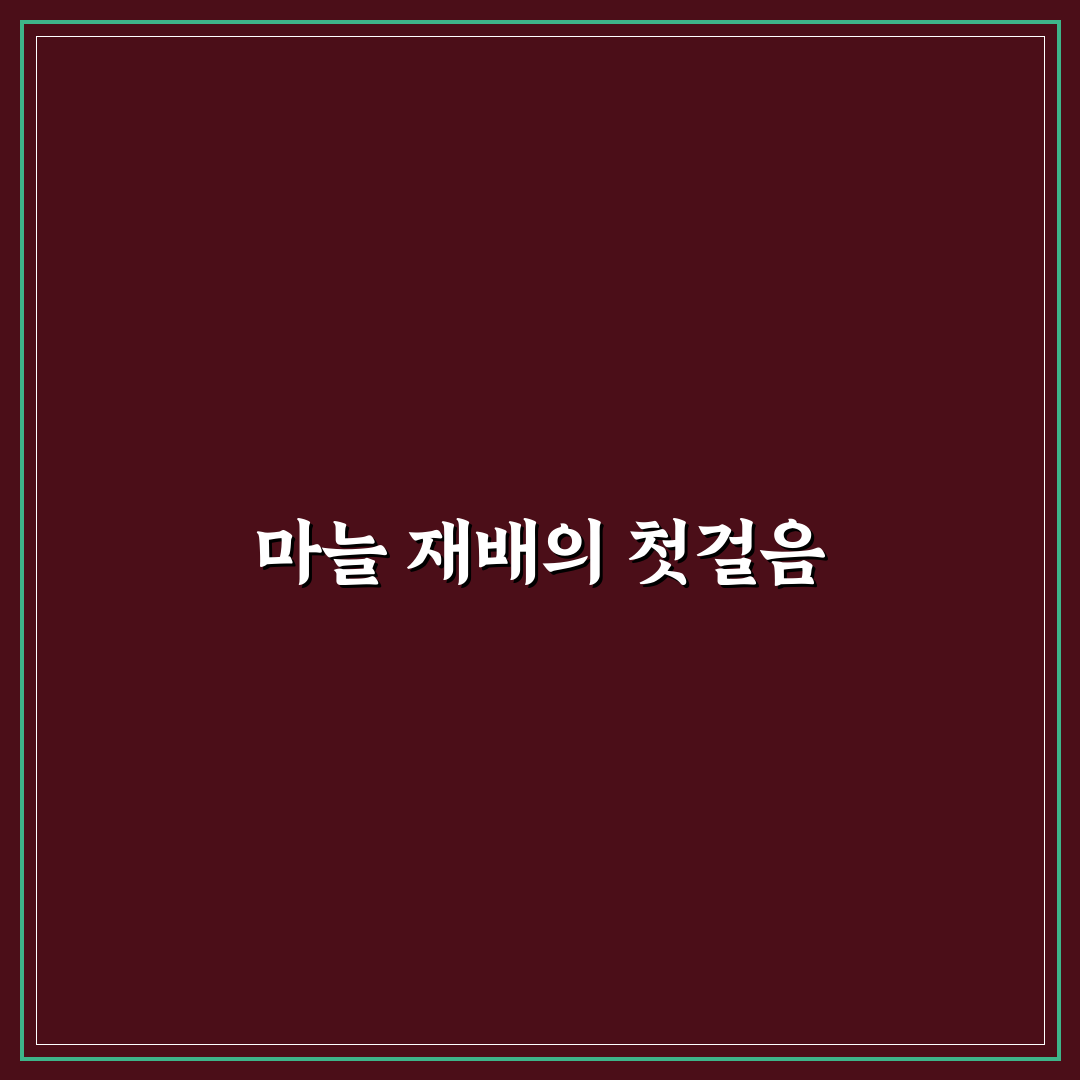 홍산마늘재배방법 직접 해보니 알게 된 현실적인 팁