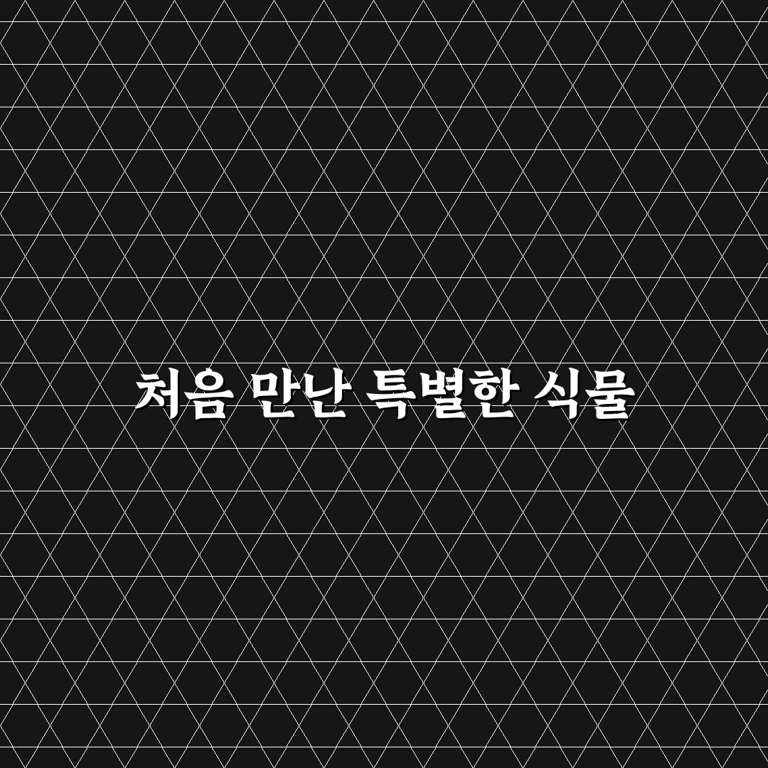 금낭화 번식 직접 해보니 어려웠던 점과 대처법