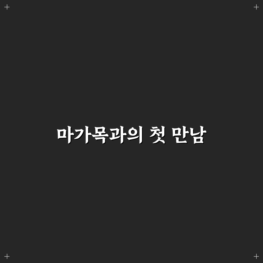 마가목 묘목 심는 시기 직접 알아보니 경험담