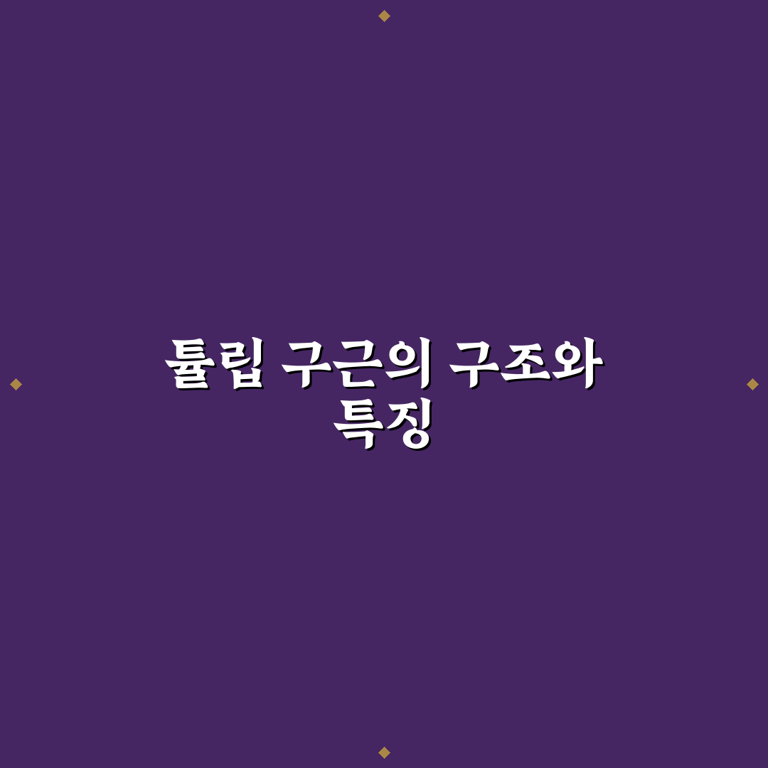 튜립구근 관리법과 심는 꿀팁 알려드려요