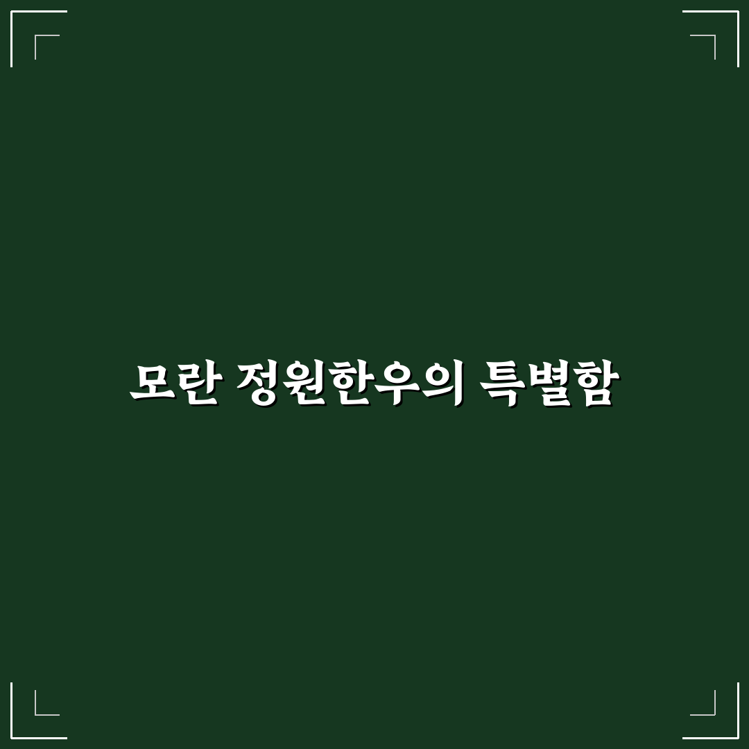 모란 정원한우 이용 꿀팁과 방문 후기 정리