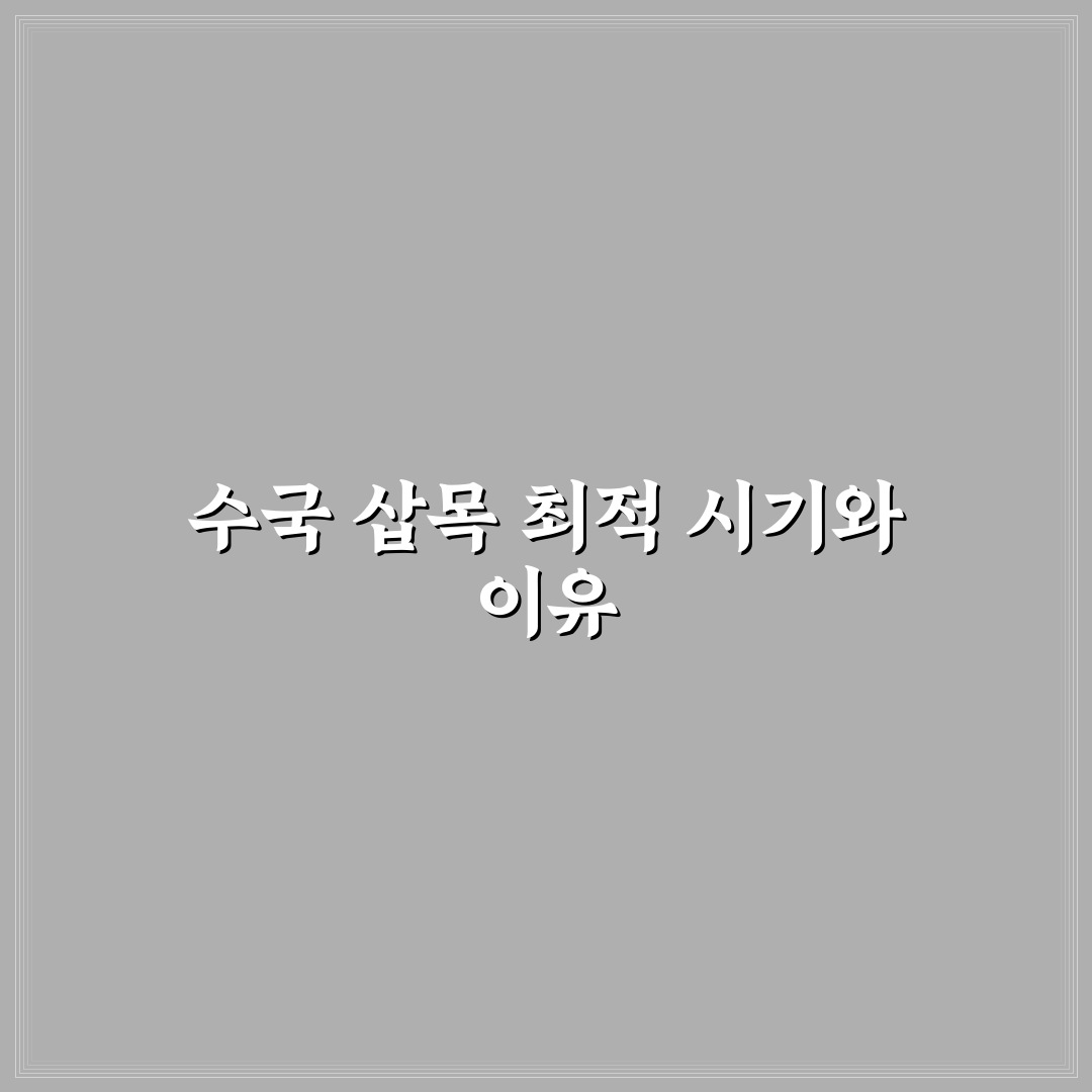 수국 삽목시기와 방법 초보자도 쉽게 배우는 꿀팁