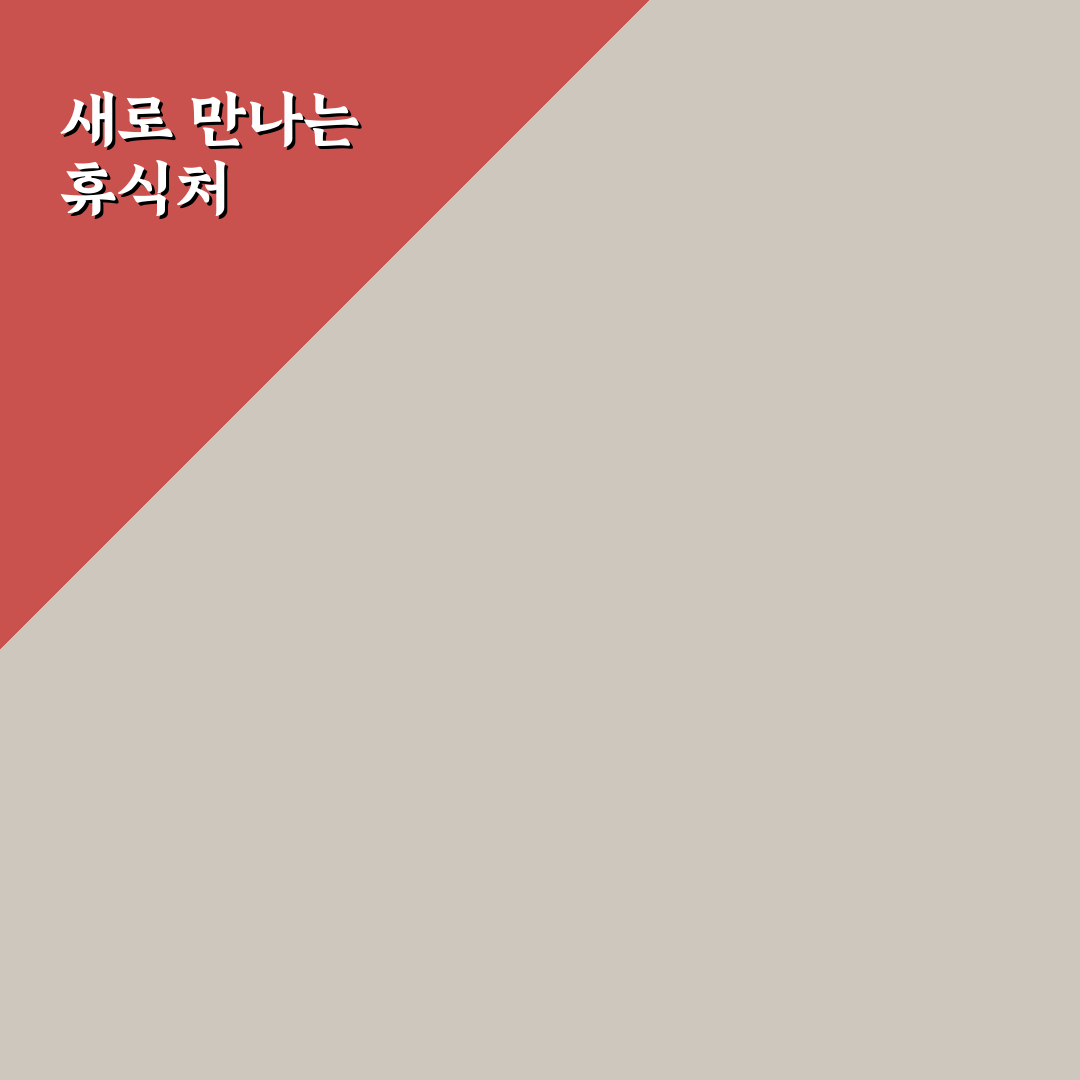 미스김라일락 카페 방문 후기, 직접 가보니 분위기는 어떨까