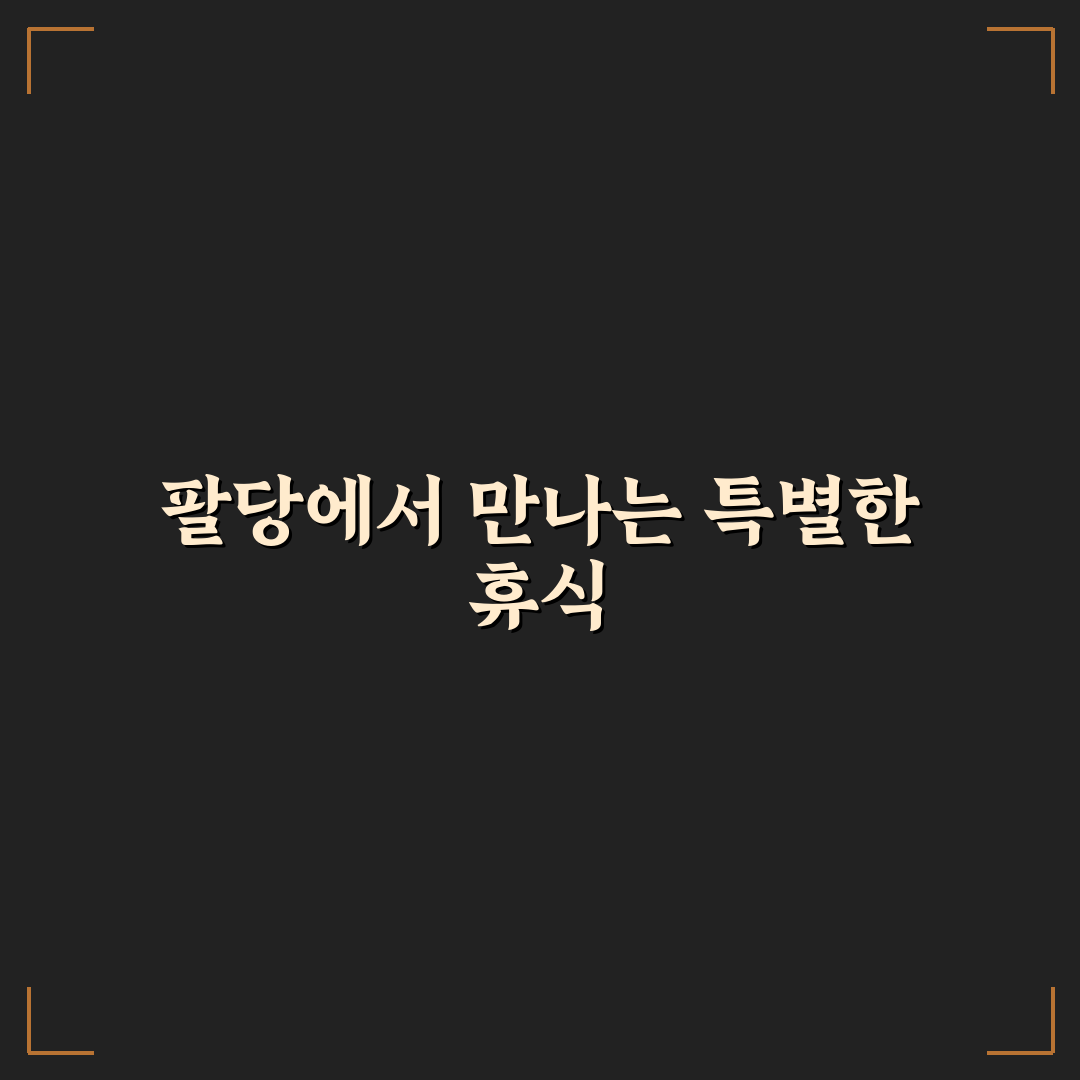 팔당 봉주르 카페 방문 후기, 조용한 휴식 공간 경험기