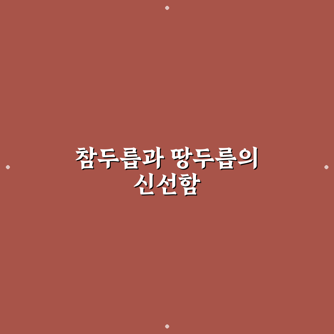 참두릅 땅두릅 차이 직접 알아보니 색다른 점들