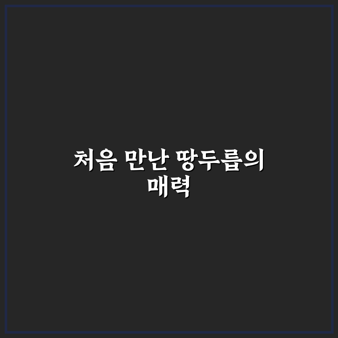 땅두릅 가격 직접 알아보니 시즌별 차이가 컸어요