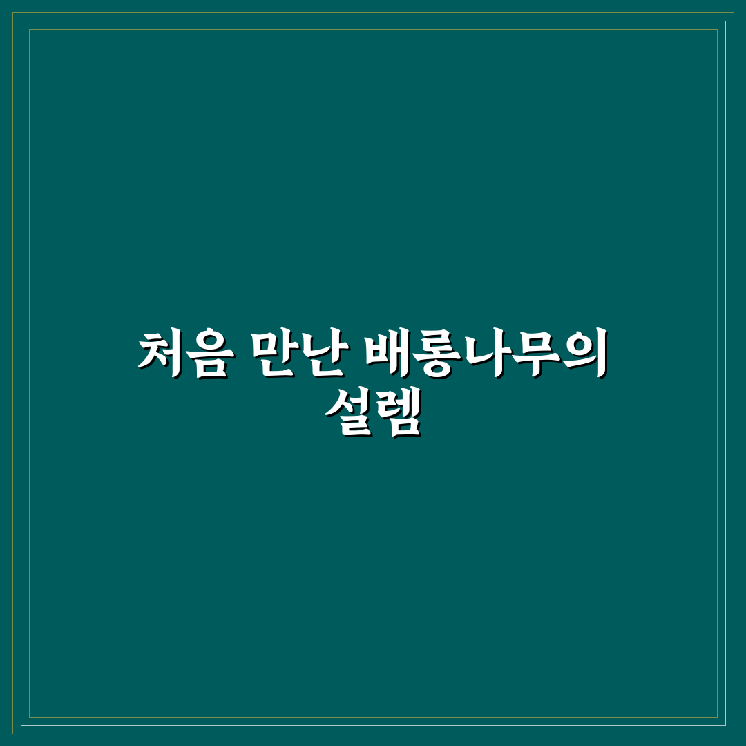 배롱나무 묘목 사용기, 직접 키워보니 장단점은