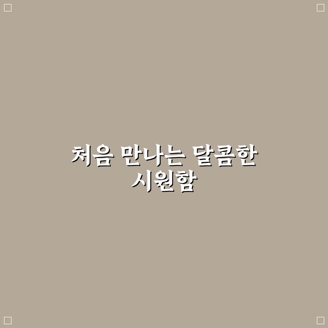 프라페 뜻 직접 알아보니 궁금했던 부분들
