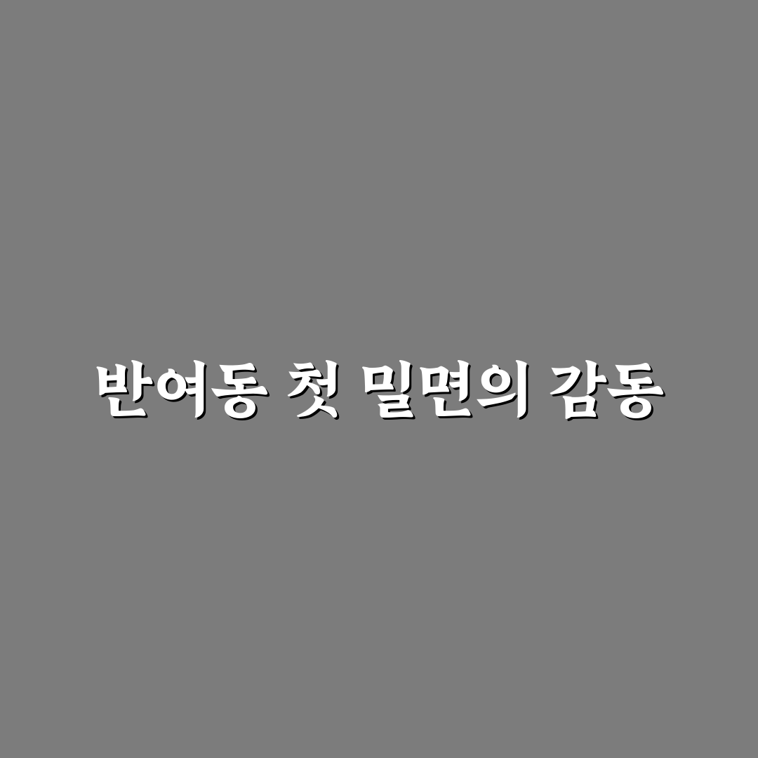 반여동 밀면 방문 후기, 직접 가보니 맛과 분위기
