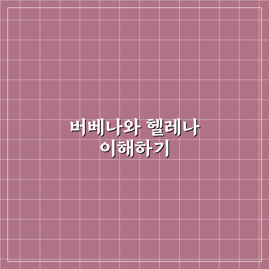 버베나와 헬레나 활용법과 관리 꿀팁 알려드려요