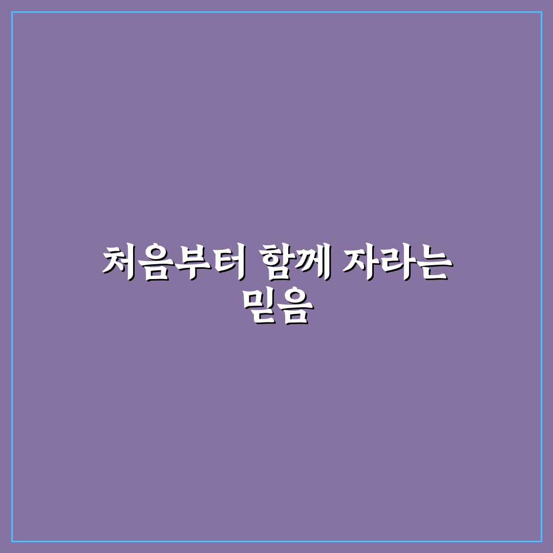 작약 지지대 사용 후기, 직접 써보니 느낀 점