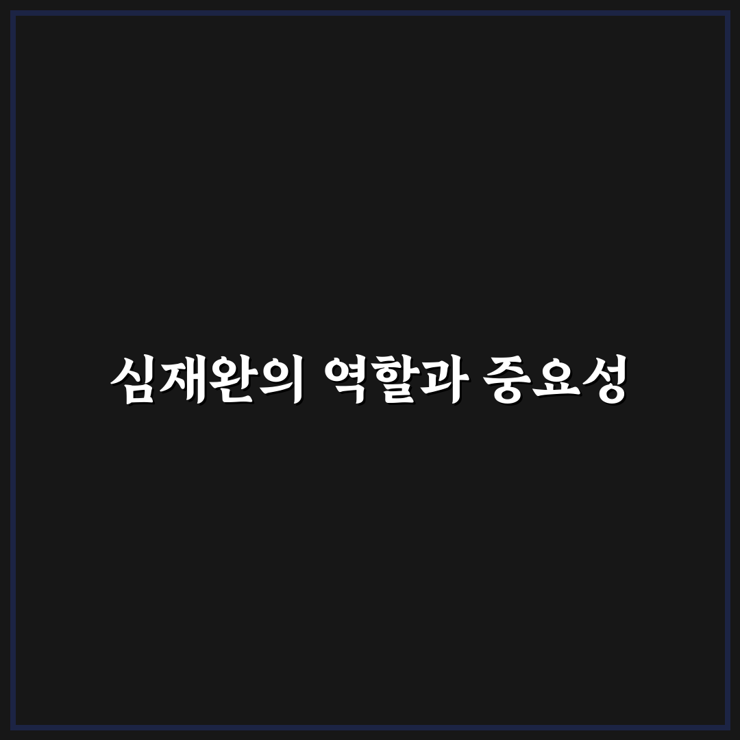 심재완 쉽게 이해하는 기본 정보와 활용법 정리
