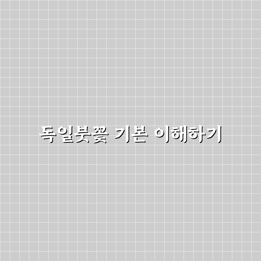 독일붓꽃심는방법과 초보자용 꿀팁 정리
