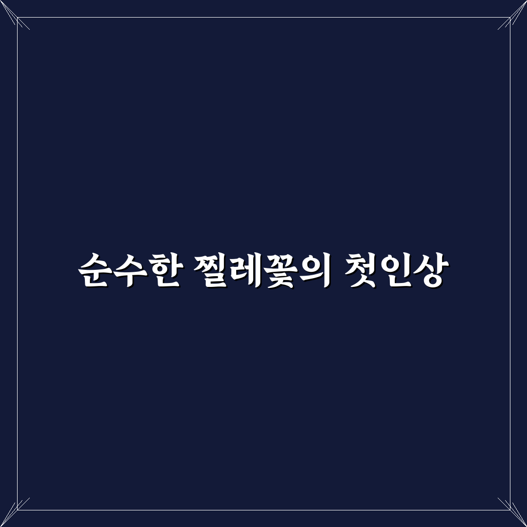 백난아 찔레꽃 가사 직접 알아보니 의미가 와닿았어요