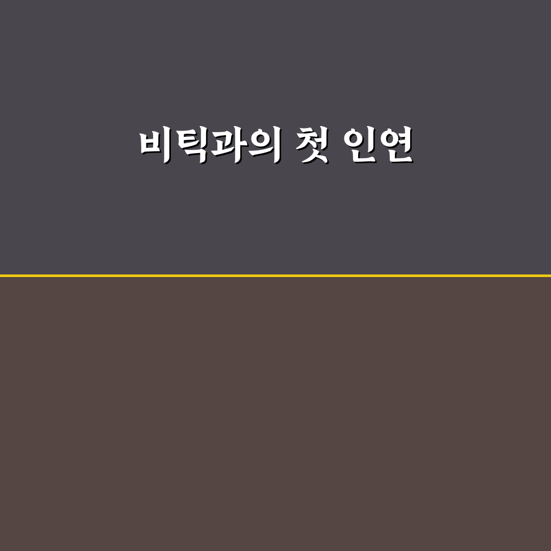비틱 유래 직접 알아보니 뜻과 배경이 궁금했던 이유