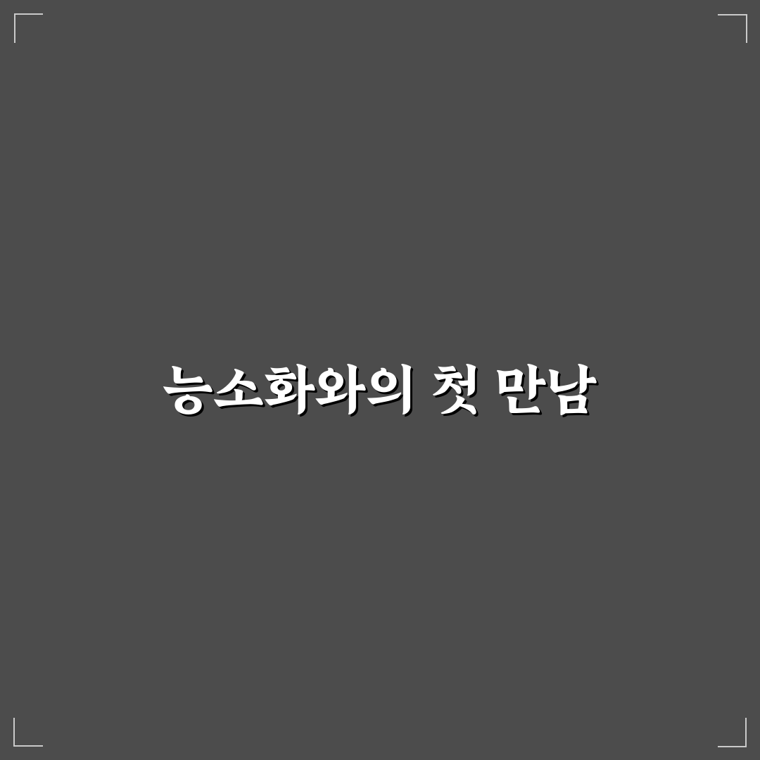 능소화 번식 방법 직접 알아보니 어려웠던 점과 팁