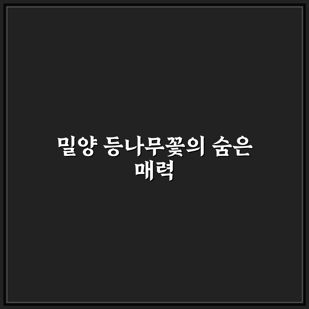밀양 등나무 꽃 방문 후기, 직접 가보니 느낌은