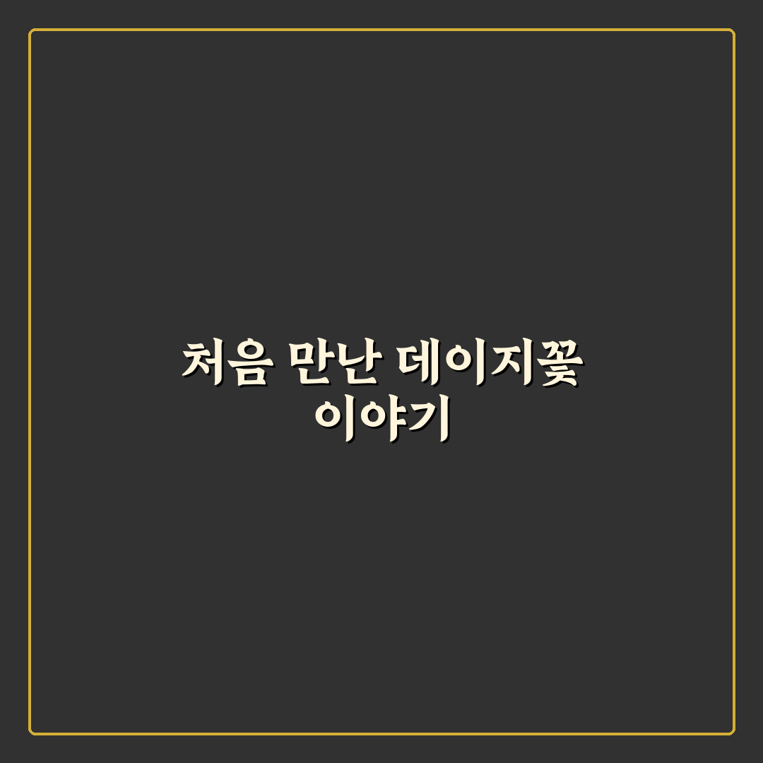 데이지꽃키우는방법 직접 해보니 초보도 가능했어요