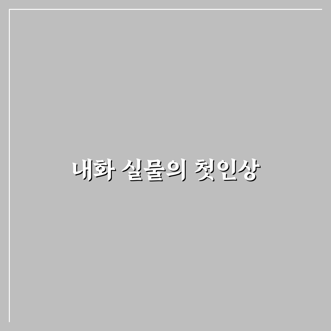 유튜버 내화 실물 직접 써보니 특징과 아쉬운 점