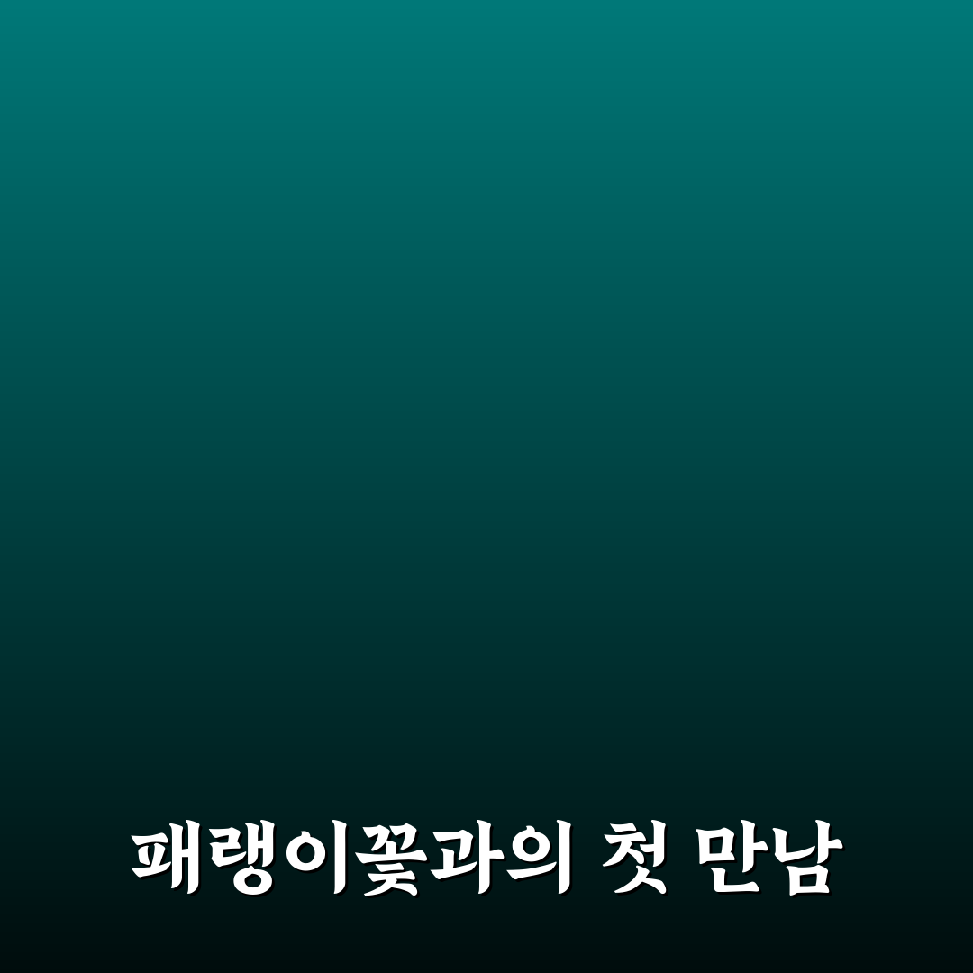 패랭이꽃 물주는법 직접 해보니 달라진 점들