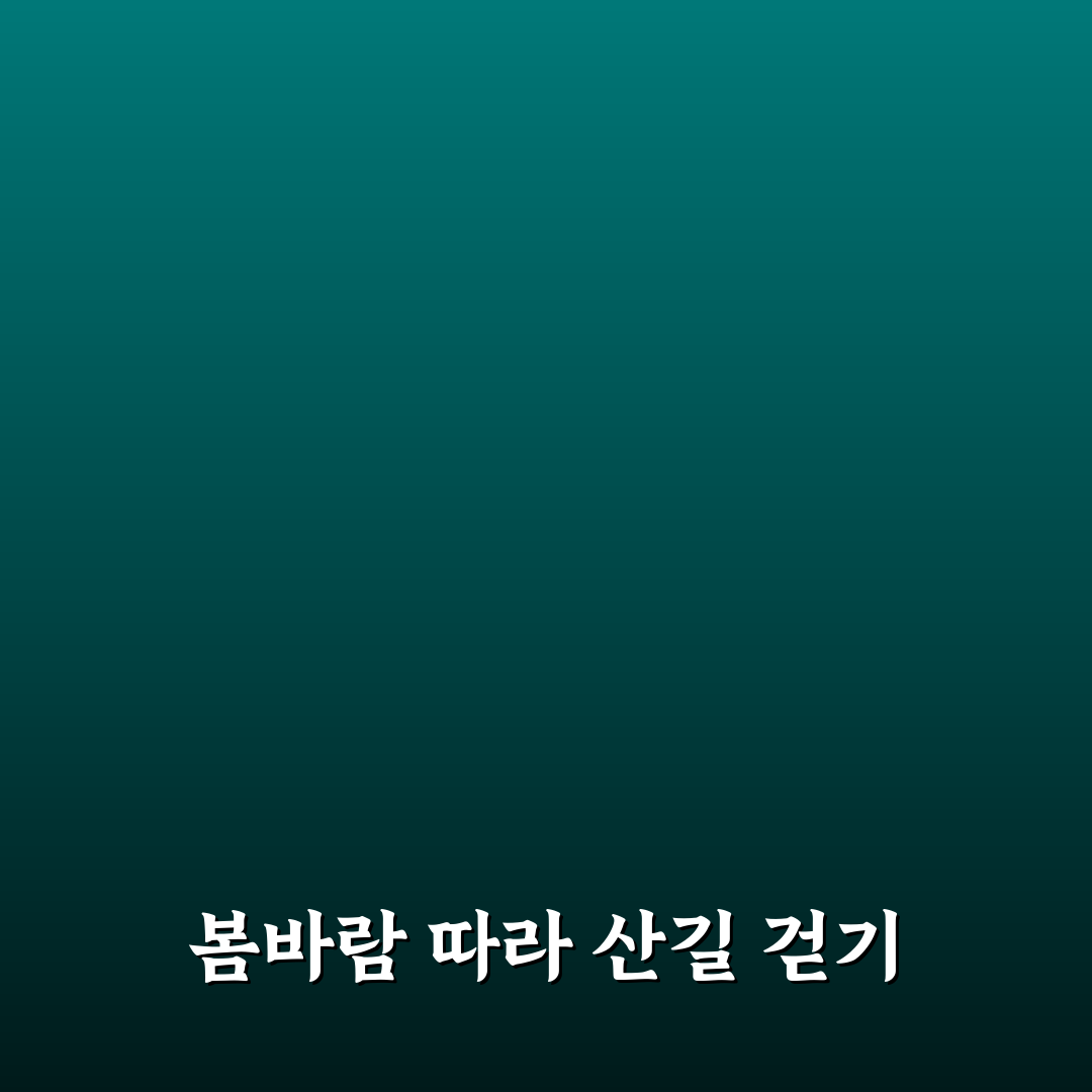 남원 바래봉 철쭉 방문 후기, 직접 가보니 풍경은 어떨까