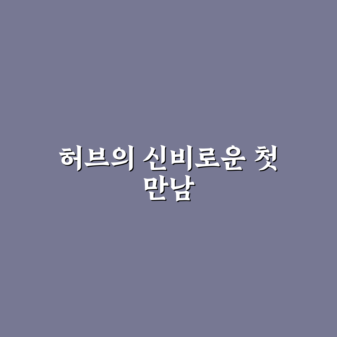 에뛰드 핫히비스커스티 사용 후기, 직접 써보니 느낀 점