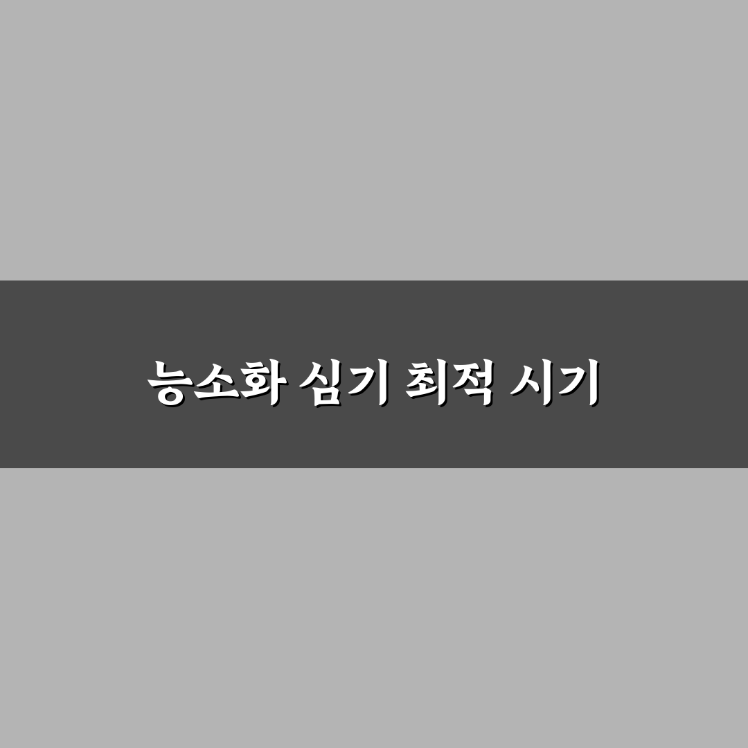 능소화 묘목 심는 시기와 방법 추천 꿀팁 정리