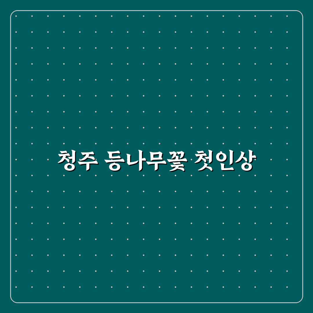 청주 등나무꽃 방문 후기, 직접 가보니 알게 된 점